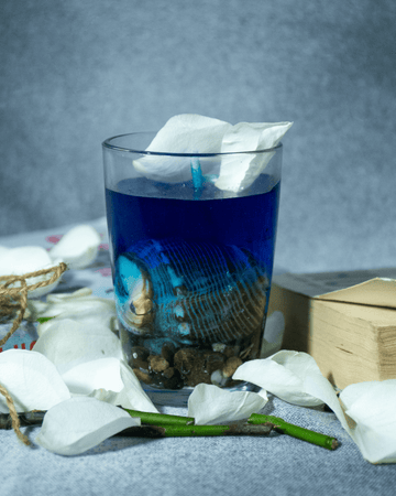 AmberWick Ocean Breeze Candle, Glow of Calm